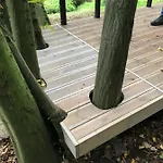 Waldbaden Im Nationalpark Eifel- Am Bach Σπίτι διακοπών *