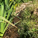 בית נופש Waldbaden Im Nationalpark Eifel- Am Bach