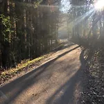 Σπίτι διακοπών Waldbaden Im Nationalpark Eifel- Am Bach Schleiden