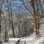 Waldbaden Im Nationalpark Eifel- Am Bach בית נופש *