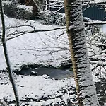 Waldbaden Im Nationalpark Eifel- Am Bach Schleiden