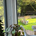Waldbaden Im Nationalpark Eifel- Am Bach Tatil Evi