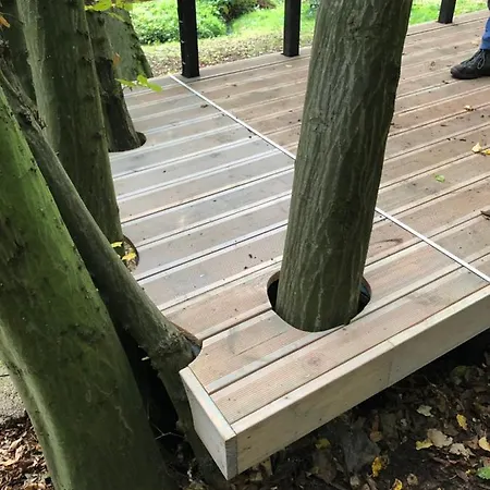 Waldbaden Im Nationalpark Eifel- Am Bach بيت للعطل *
