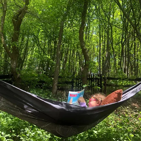 Waldbaden Im Nationalpark Eifel- Am Bach