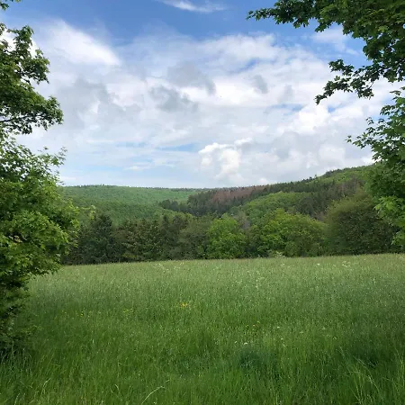 Waldbaden Im Nationalpark Eifel- Am Bach Schleiden