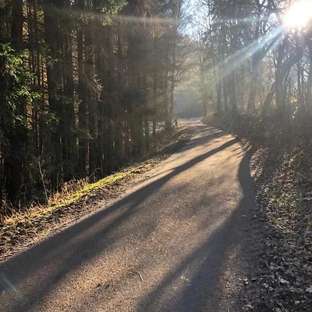 بيت للعطل Waldbaden Im Nationalpark Eifel- Am Bach شليدن