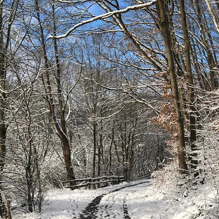 Waldbaden Im Nationalpark Eifel- Am Bach بيت للعطل *