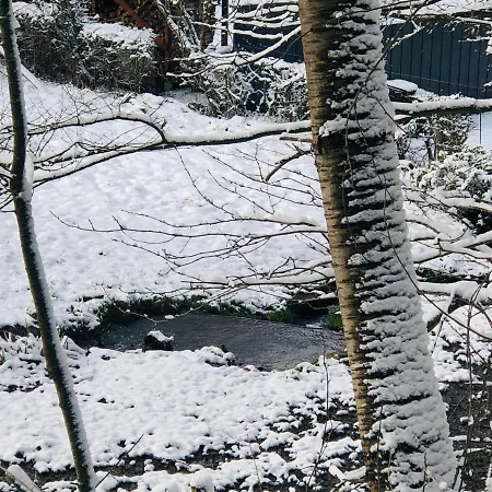 Waldbaden Im Nationalpark Eifel- Am Bach شليدن
