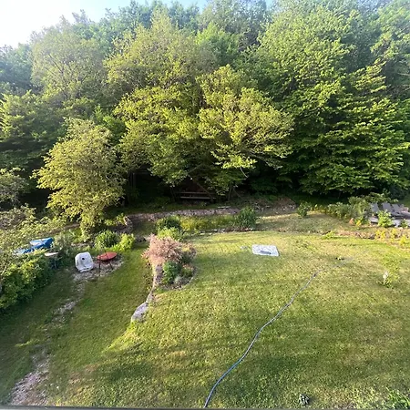 Waldbaden Im Nationalpark Eifel- Am Bach *