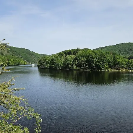 Waldbaden Im Nationalpark Eifel- Am Bach *
