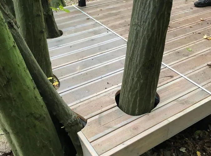 Waldbaden Im Nationalpark Eifel- Am Bach Vakantiehuis *