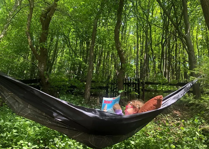 Waldbaden Im Nationalpark Eifel- Am Bach