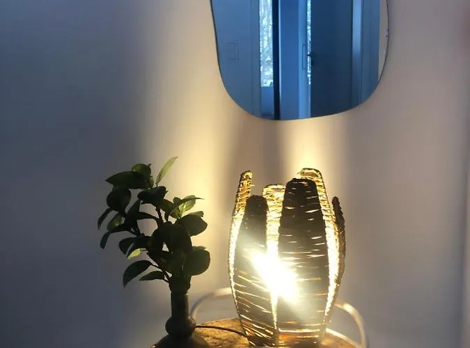 Waldbaden Im Nationalpark Eifel- Am Bach