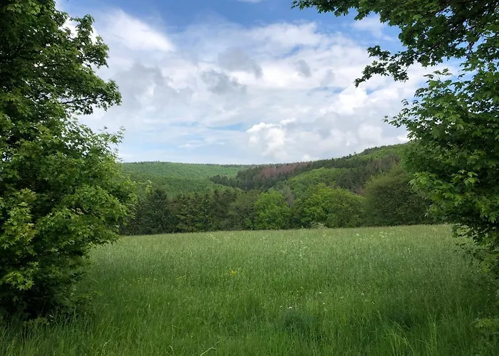 Waldbaden Im Nationalpark Eifel- Am Bach Schleiden
