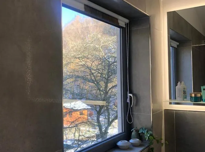 Waldbaden Im Nationalpark Eifel- Am Bach