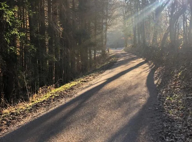 Semesterbostad Waldbaden Im Nationalpark Eifel- Am Bach Schleiden