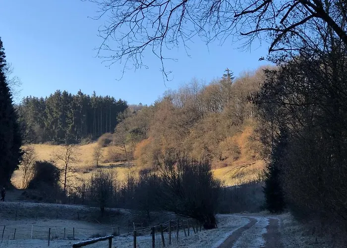 Waldbaden Im Nationalpark Eifel- Am Bach Semesterbostad Schleiden