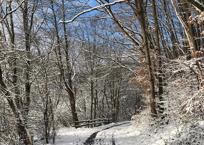 Waldbaden Im Nationalpark Eifel- Am Bach Semesterbostad *