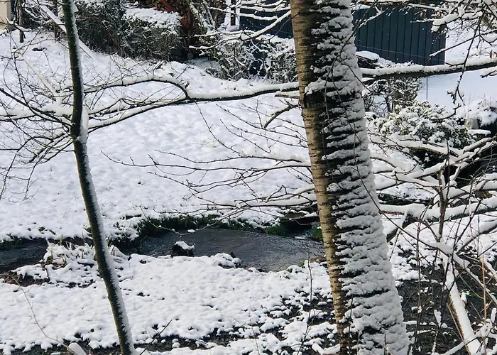 Waldbaden Im Nationalpark Eifel- Am Bach Schleiden